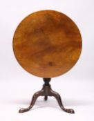 A GEORGE III MAHOGANY CIRCULAR TILT TOP TRIPOD TABLE, solid top on a turned pillar ending in