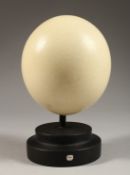 AN OSTRICH EGG on a plinth. 5ins high