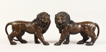 A PAIR OF BRONZE LIONS 12ins long.