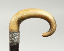 A RHINO HANDLE WALKING STICK with silver band. 34ins long.