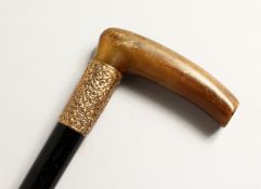 A RHINO HANDLE WALKING STICK with tablet dated May 1905. 33ins long.