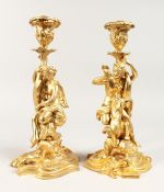 A GOOD PAIR OF GILT BRONZE CLASSICAL CANDLESTICKS on scrolled base. 11.5 ins tall