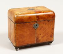 A GOOD REGENCY TORTOISESHELL TWO DIVISION TEA CADDY with segmented top on silver ball feet. 6ins