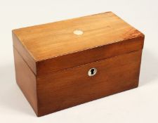 A 19TH CENTURY MAHOGANY TWO DIVISION TEA CADDY, mother of pearl tablet.