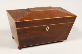 A REGENCY MAHOGANY TWO DIVISION TEA CADDY, satinwood banding on bun feet. 10.5ins long (one foot