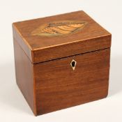 A SMALLGEORGE III SQUARE TEA CADDY with wood inlay as a shell. 4.5ins.