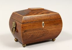A REGENCY ROSEWOOD DOMED TOP TWO DIVISION TEA CADDY with brass handles and feet. 8ins long.