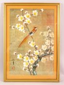 A CHINESE FRAMED PICTURE OF A BIRD, seated within a prunus tree, 53cm x 38cm.