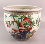A CHINESE FAMILLE ROSE PORCELAIN FISH BOWL, the body decorated with bats and peach, 41cm diameter