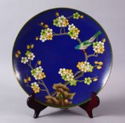 A CHINESE CLOISONNE PLATE & STAND - the dish with a royal blue ground with prunus decoration, 23cm.