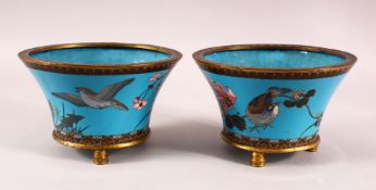 A PAIR JAPANESE CIRCULAR CLOISONNE JARDINIERES, the body decorated with birds and native flora and