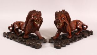 A PAIR OF CHINESE CARVED HARDWOOD LIONS & STANDS, each with inlaid eyes and teeth, 29cm