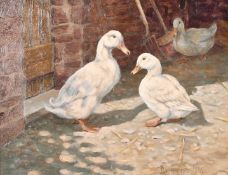 Donna Crawshaw (b.1960) British, 'Three White Ducks', oil on board, signed, 8