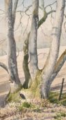 John Robinson, 'Old Coppiced Ash Trunk' watercolour, signed and with label verso, 13