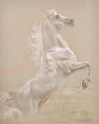 Franco Matania (1922-2006) Italian, A pastel study of a horse, signed and dedicated by the artist