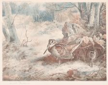 After Archibald Thorburn (1860-1935) British, 'The Snipe' and 'The Woodcock