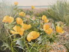 Mary Dipnall (b. 1936) British, 'Yellow Horned Poppies', oil on canvas, signed, 12