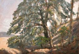 John Brown 20th century, A study of a wooded hill, oil on panel, 10