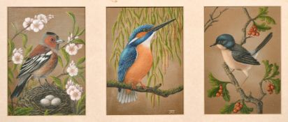 June Taylor, 'Triptych of Birds', Acrylic on canvasboard, each 7