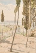 Follower of Edward Lear, A landscape of a Cyprian town on the horizon with trees in the