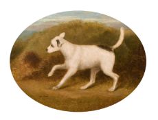 Maud Earl (1864-1943) A Poised terrier in a landscape, oil on canvas, signed, 12