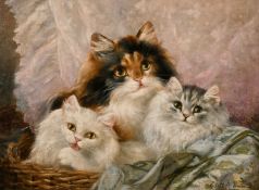 Edith A. Penne, A study of three cats in a basket, oil on canvas, signed, 12
