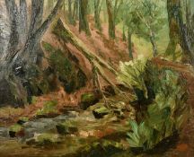 20th century, A forest stream with a collapsed tree, oil on canvas, 20