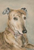 Iris Wells (c. 2014) 'Jessie', A head study of a greyhound, pastel, signed, 12.5