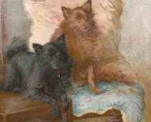 Early 20th century, A Portrait of two dogs sat amongst floral cushions, oil on canvas, signed '