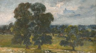 Alfonso Toft (1866-1964) British, An oil sketch of trees in a landscape, oil on board, 5