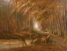 Early 20th century, A herd of deer watering in a woodland glade, oil on panel, indistinctly