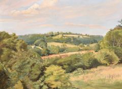 Daphne Todd (b. 1947) British, 'Across the Weald', oil on panel, signed, 13