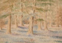 20th century school, a woodland scene with wildflowers, watercolour, indistinctly signed, 9