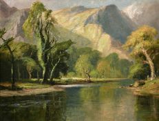 20th century English school, A mountain river landscape, oil on board, indistinctly signed, 14