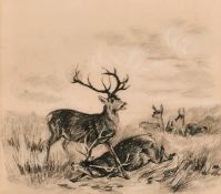 Attributed to Robert Hills O.W.S (1769-1844) Stags in a landscape, Charcoal and chalks on paper, 6.