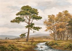 Robert Eggington (b. 1943) British, A scene of a moorland stream, oil on board, signed, 22