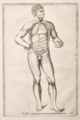 Human anatomy from Eustachios Tabulae anatomy (circa. 1714), print, 11