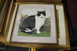 Study of a cat colour print and three other pictures