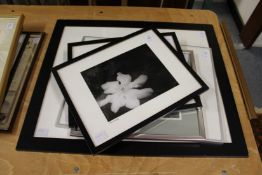 A group of five photographic prints