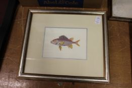 Three prints depicting fish