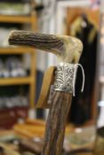 A walking stick with antler handle and silver collar