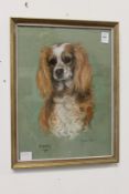 Marjorie Cox study of the dog Poppy signed and dated 1970