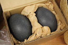 Two large emu eggs (?)