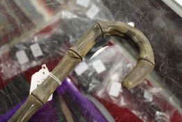 A sectional horn walking stick, possibly rhino