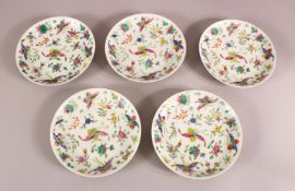 A SET OF 5 19TH CENTURY CHINESE FAMILLE ROSE PORCELAIN SAUCER DISHES - decorated ith flowers and