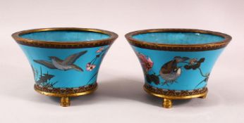 A PAIR JAPANESE CIRCULAR CLOISONNE JARDINIERES, the body decorated with birds and native flora and