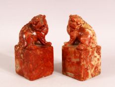 A PAIR OF CHINESE CARVED SOAPSTONE LION DOG SEALS - The pair mirrored, the bases uncarved, 10cm high