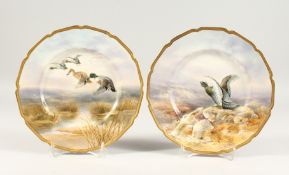 A PAIR OF ROYAL DOULTON PORCELAIN PLATES painted with birds J BIRBECK. SEN. Signed, 9ins diameter.
