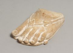 A MUSEUM PLASTER COPY OF A ROMAN OR GREEK FOOT 7ins long