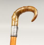 A VICTORIAN CARVED RHINO HANDLE WALKING STICK with silver band. Engraved JOHN LEIGH, WILTSHIRE 2ft